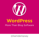 WordPress: More Than Blog Software