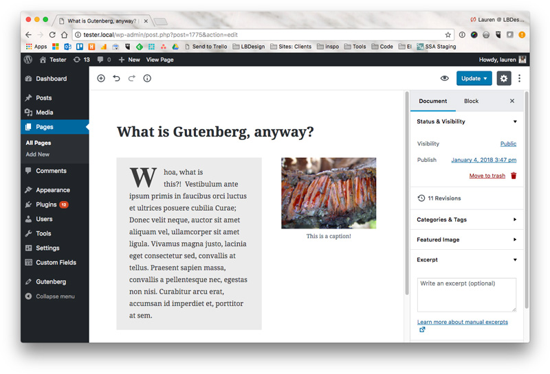 Screenshot of Gutenberg editor